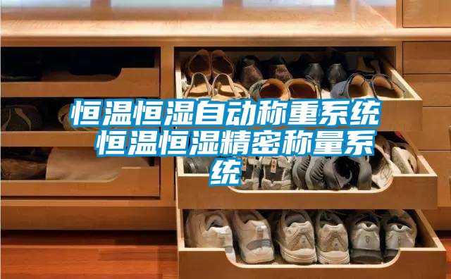 恒溫恒濕自動稱重系統(tǒng) 恒溫恒濕精密稱量系統(tǒng)