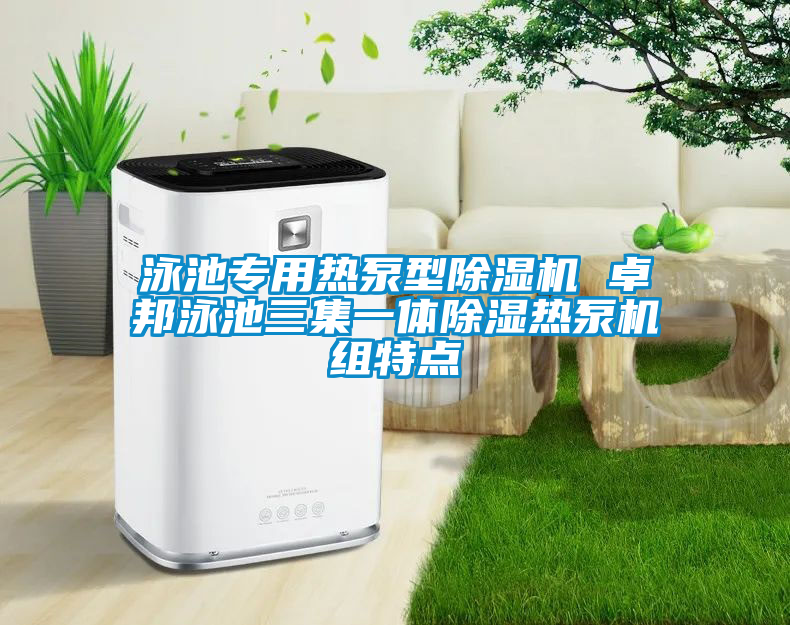 泳池專用熱泵型除濕機 卓邦泳池三集一體除濕熱泵機組特點
