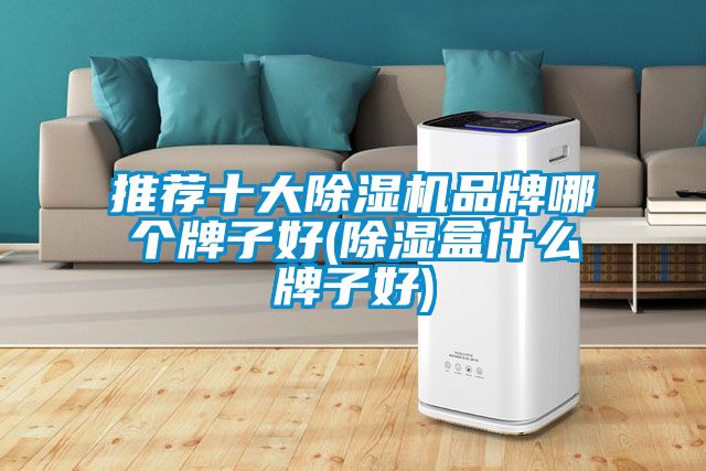 推薦十大除濕機品牌哪個牌子好(除濕盒什么牌子好)