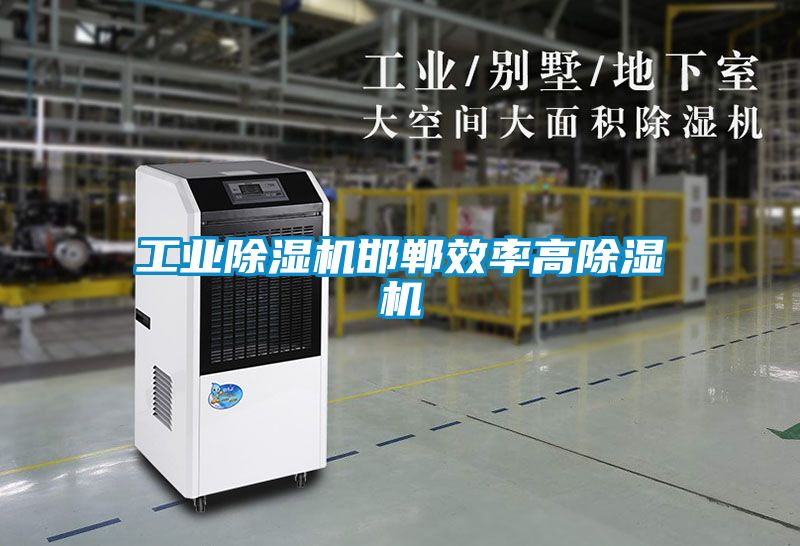 工業(yè)除濕機邯鄲效率高除濕機