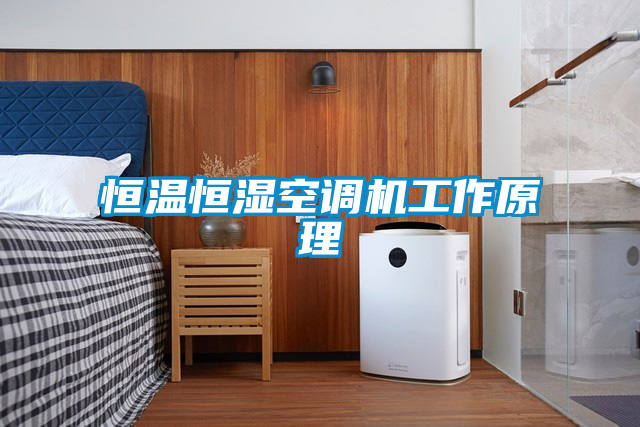恒溫恒濕空調(diào)機(jī)工作原理