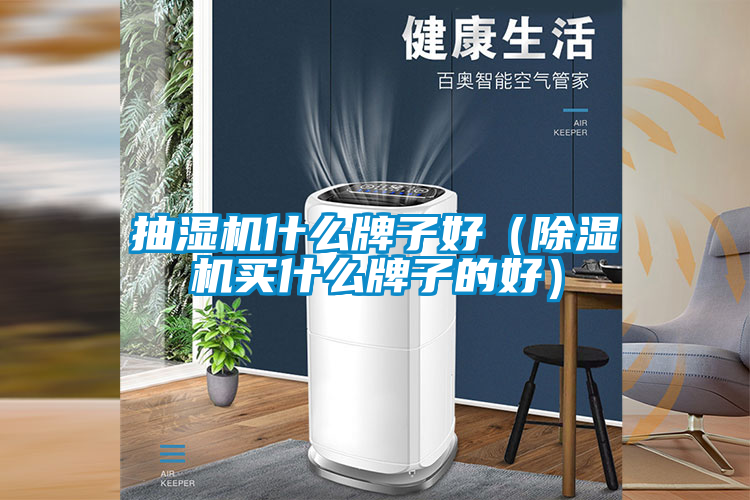 抽濕機(jī)什么牌子好（除濕機(jī)買什么牌子的好）