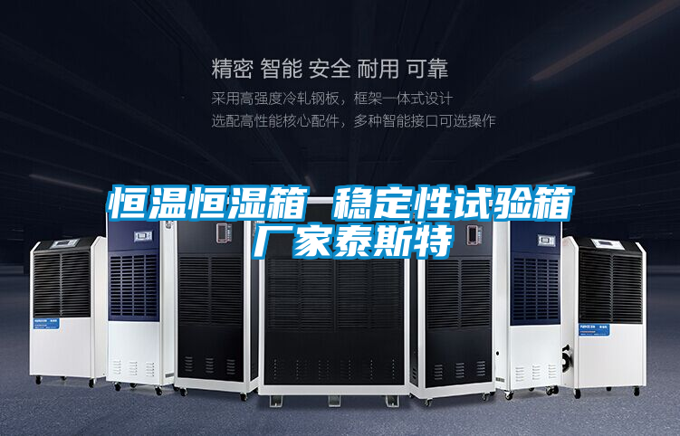 恒溫恒濕箱 穩(wěn)定性試驗箱 廠家泰斯特