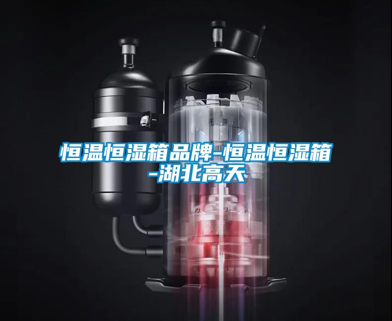 恒溫恒濕箱品牌-恒溫恒濕箱-湖北高天