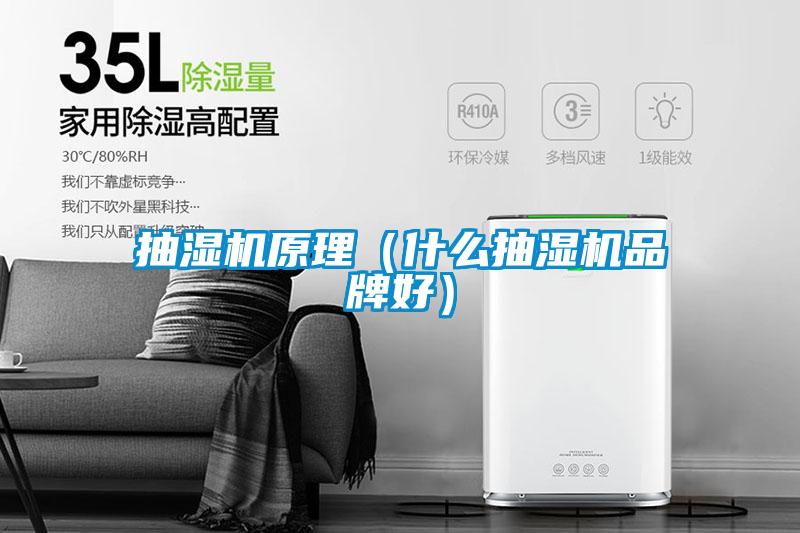 抽濕機原理（什么抽濕機品牌好）
