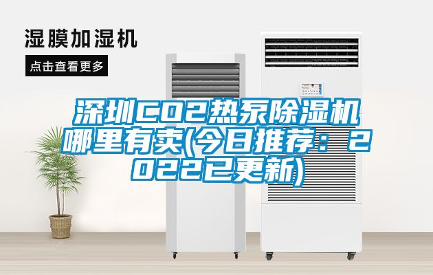 深圳CO2熱泵除濕機哪里有賣(今日推薦：2022已更新)