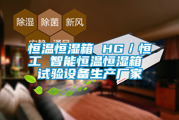 恒溫恒濕箱 HG／恒工 智能恒溫恒濕箱 試驗設備生產廠家