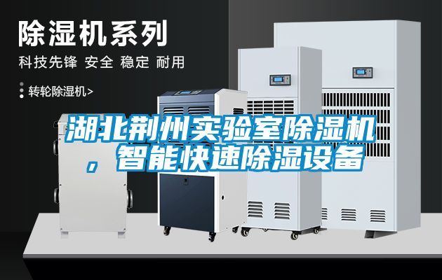 湖北荊州實(shí)驗(yàn)室除濕機(jī)，智能快速除濕設(shè)備