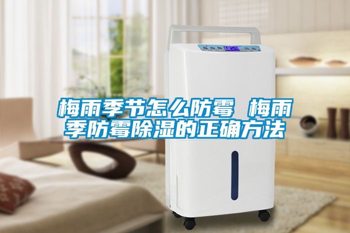 梅雨季節怎么防霉 梅雨季防霉除濕的正確方法