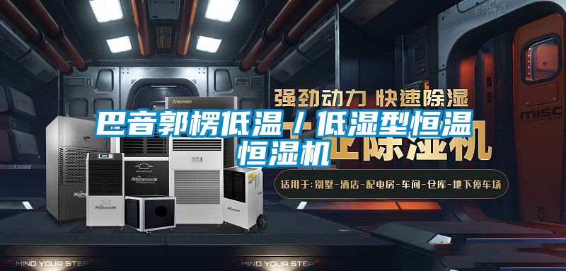 巴音郭楞低溫／低濕型恒溫恒濕機(jī)