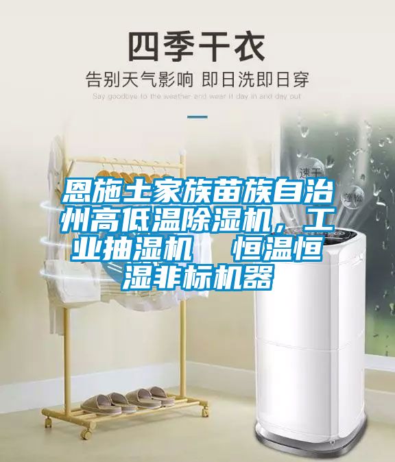 恩施土家族苗族自治州高低溫除濕機，工業(yè)抽濕機  恒溫恒濕非標機器