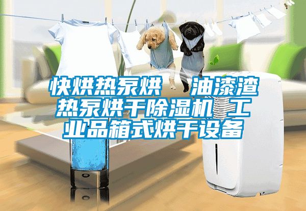 快烘熱泵烘  油漆渣熱泵烘干除濕機(jī) 工業(yè)品箱式烘干設(shè)備