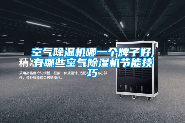 空氣除濕機哪一個牌子好,有哪些空氣除濕機節能技巧