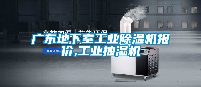 廣東地下室工業(yè)除濕機報價,工業(yè)抽濕機
