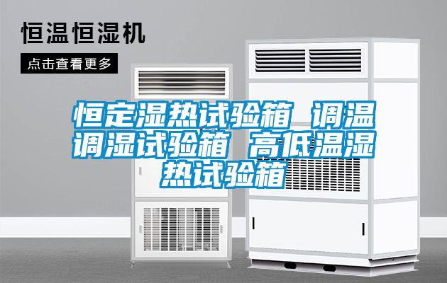 恒定濕熱試驗箱 調溫調濕試驗箱 高低溫濕熱試驗箱