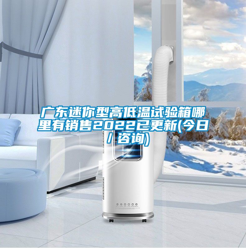 廣東迷你型高低溫試驗箱哪里有銷售2022已更新(今日／咨詢)