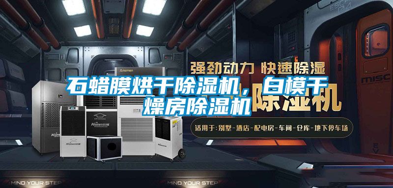 石蠟膜烘干除濕機，白模干燥房除濕機