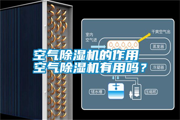 空氣除濕機的作用 空氣除濕機有用嗎？
