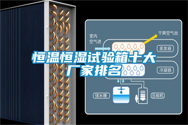 恒溫恒濕試驗箱十大廠家排名