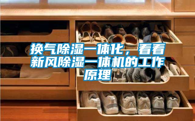 換氣除濕一體化，看看新風除濕一體機的工作原理