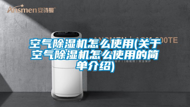 空氣除濕機怎么使用(關(guān)于空氣除濕機怎么使用的簡單介紹)