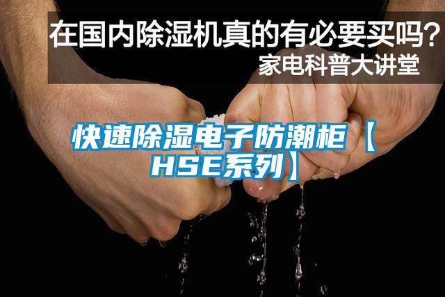 快速除濕電子防潮柜【HSE系列】