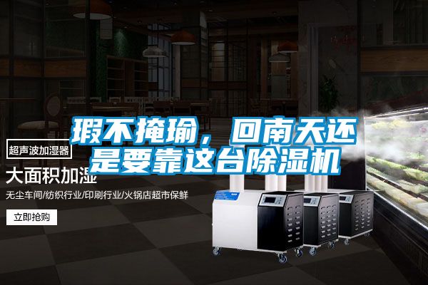 瑕不掩瑜，回南天還是要靠這臺除濕機
