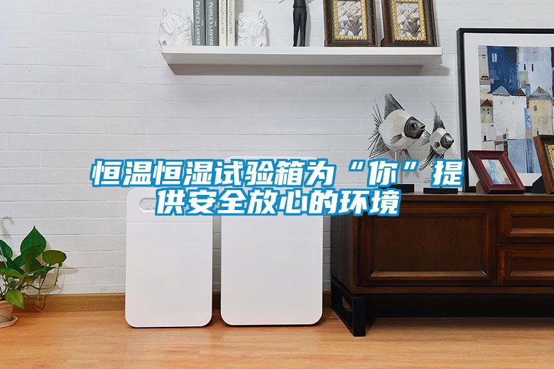 恒溫恒濕試驗箱為“你”提供安全放心的環境