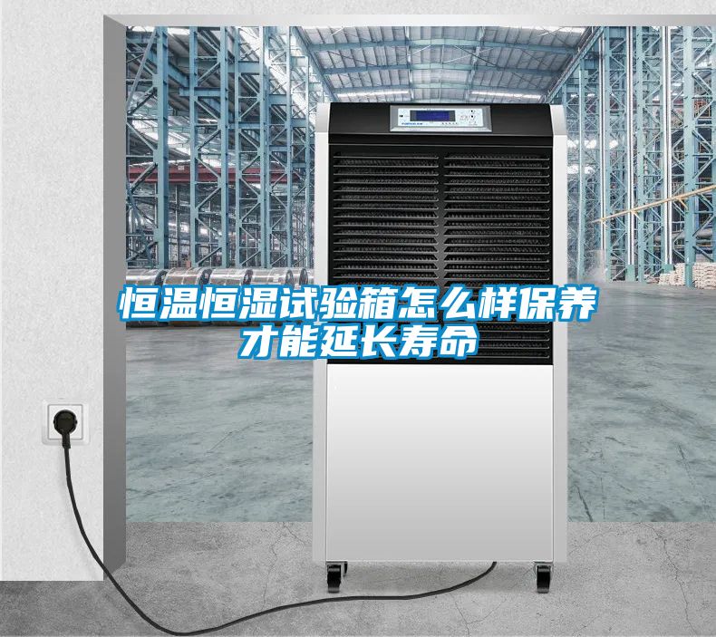 恒溫恒濕試驗箱怎么樣保養(yǎng)才能延長壽命