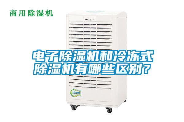 電子除濕機和冷凍式除濕機有哪些區別？
