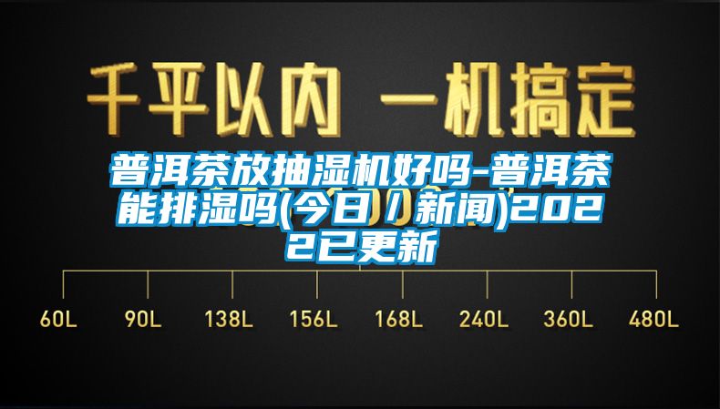 普洱茶放抽濕機好嗎-普洱茶能排濕嗎(今日／新聞)2022已更新