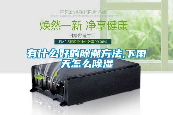 有什么好的除潮方法,下雨天怎么除濕