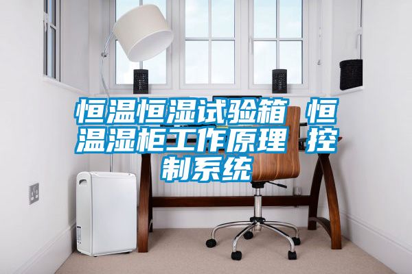 恒溫恒濕試驗箱 恒溫濕柜工作原理 控制系統