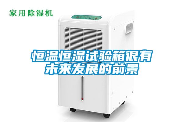 恒溫恒濕試驗箱很有未來發展的前景