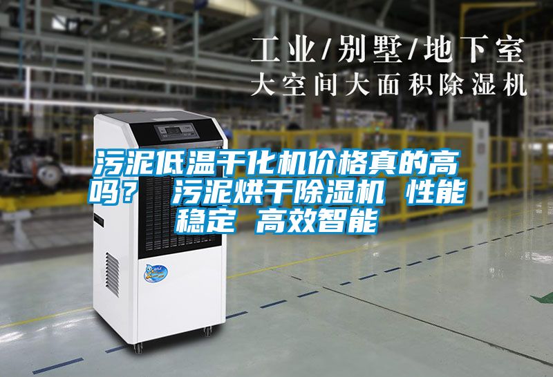 污泥低溫干化機價格真的高嗎？ 污泥烘干除濕機 性能穩定 高效智能