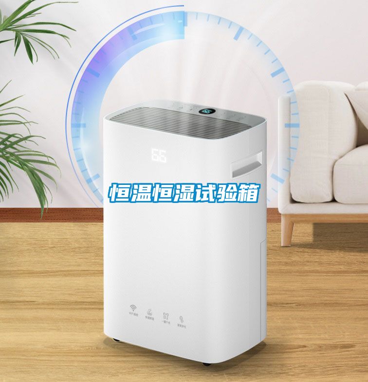 恒溫恒濕試驗箱