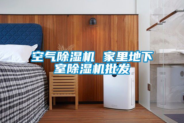 空氣除濕機 家里地下室除濕機批發