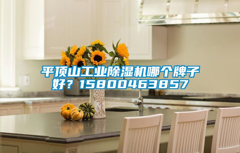 平頂山工業(yè)除濕機(jī)哪個牌子好？15800463857