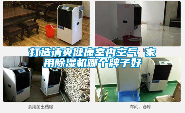 打造清爽健康室內(nèi)空氣 家用除濕機(jī)哪個(gè)牌子好