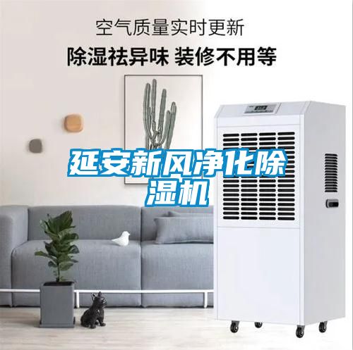 延安新風凈化除濕機