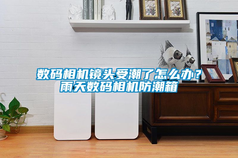 數碼相機鏡頭受潮了怎么辦？雨天數碼相機防潮箱