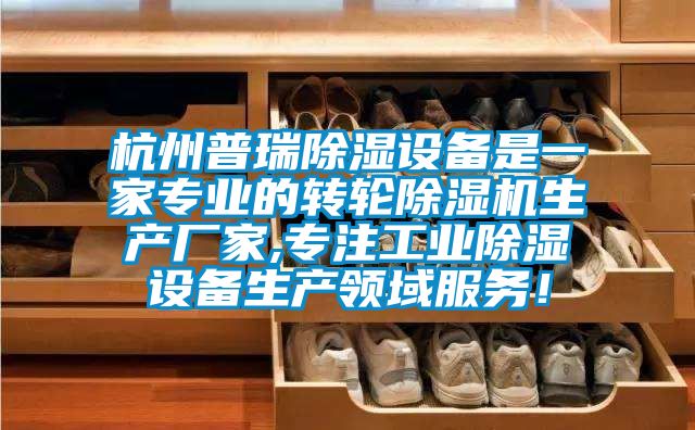 杭州普瑞除濕設(shè)備是一家專業(yè)的轉(zhuǎn)輪除濕機(jī)生產(chǎn)廠家,專注工業(yè)除濕設(shè)備生產(chǎn)領(lǐng)域服務(wù)！