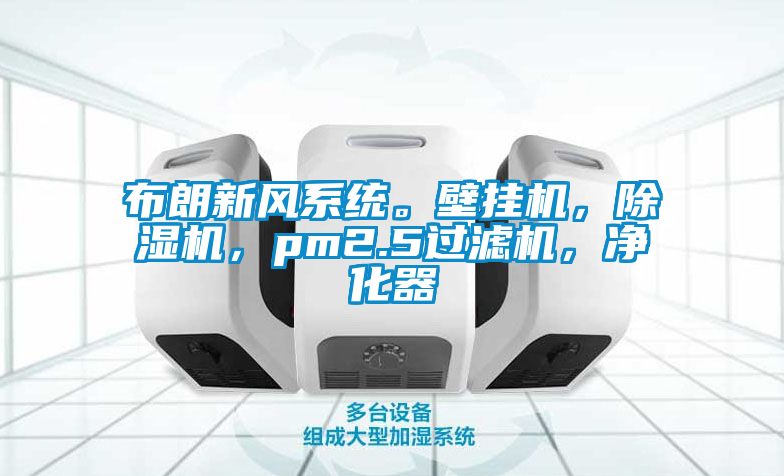 布朗新風系統。壁掛機，除濕機，pm2.5過濾機，凈化器