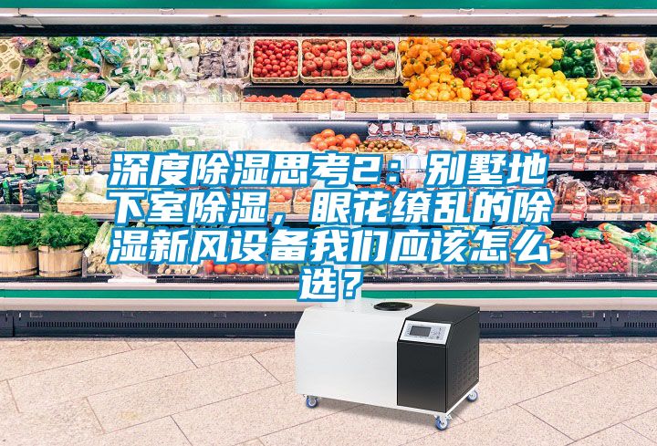 深度除濕思考2：別墅地下室除濕，眼花繚亂的除濕新風設備我們應該怎么選？