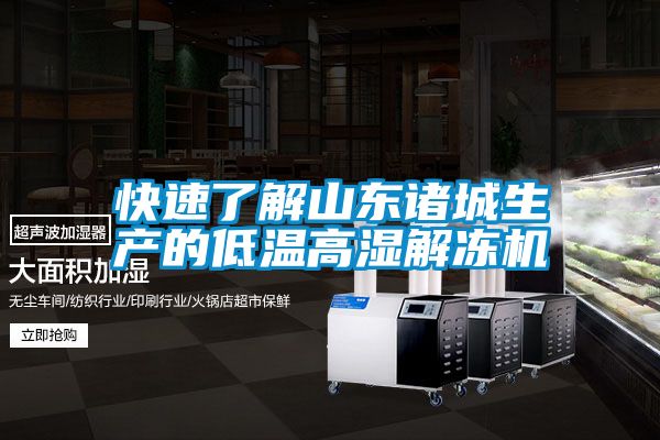 快速了解山東諸城生產的低溫高濕解凍機