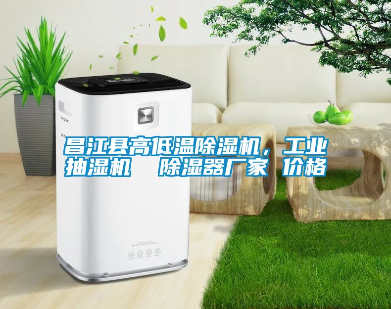 昌江縣高低溫除濕機，工業抽濕機  除濕器廠家 價格
