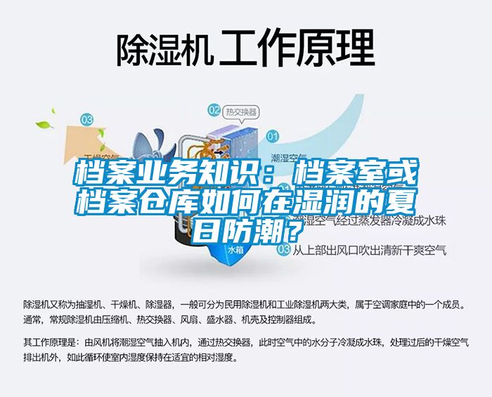 檔案業務知識：檔案室或檔案倉庫如何在濕潤的夏日防潮？