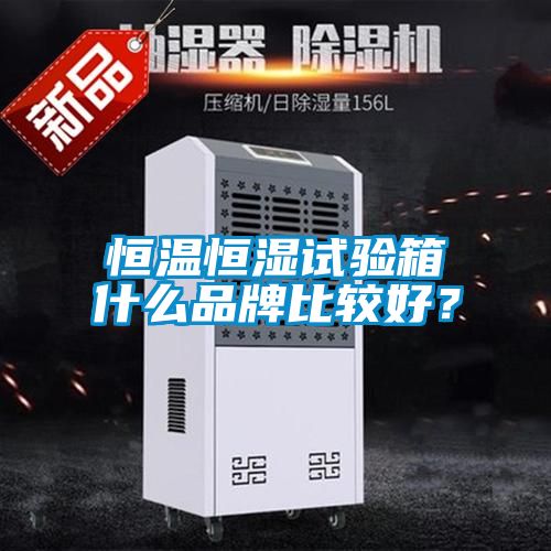 恒溫恒濕試驗箱什么品牌比較好？