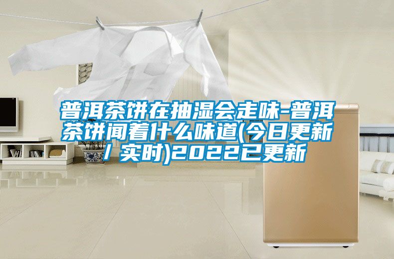 普洱茶餅在抽濕會走味-普洱茶餅聞著什么味道(今日更新／實時)2022已更新