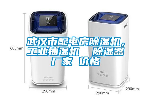 武漢市配電房除濕機，工業抽濕機  除濕器廠家 價格